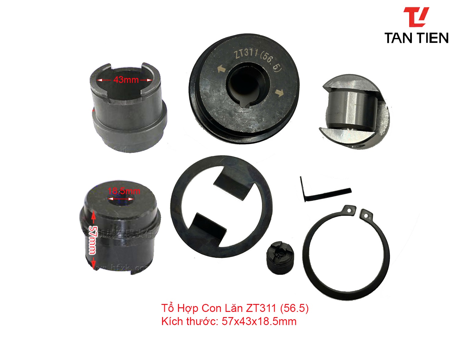 Tổ Hợp Con Lăn ZT311